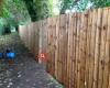 Acorn Fencing