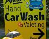 Alina's Car Wash