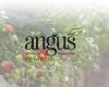 Angus Soft Fruits Ltd