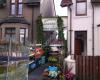 Anniesland Garden & Pet Supplies