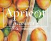 APRICOT ACCOUNTING LIMITED