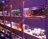 Aquatic and Reptile Centre Ltd