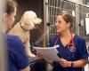 Arun Veterinary Group Ashington