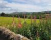 Auchterarder Golf Course