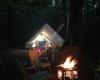 Badgells Wood Camping