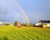 Beeches Farm Campsite