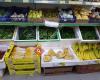 Bestfoods Supermarket Ltd