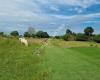 Beverley & East Riding Golf Club