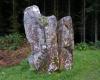 Blackpark Stone Circle