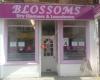 Blossoms Dry Cleaners & Launderers