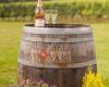 Bluebell Vineyard Estates, Vineyard & Winery Tours & Tastings