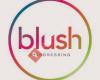 Blush Hairdressing