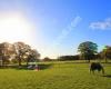 Bridley Equestrian Centre