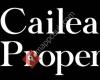 Cailean Property Ltd