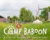 Camp Baboon