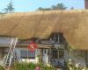 Carl Ward Thatching Limited