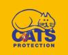Cats Protection - Alnwick shop
