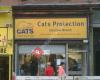 Cats Protection Charity Shop
