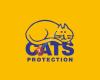 Cats Protection - Truro Charity Shop