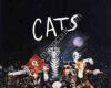 CATS the Musical