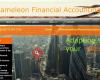 Chameleon Financial Accounting