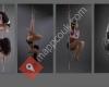 Chrome Spinners Pole Fitness