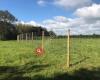 Colin Weeks Forestry and Fencing