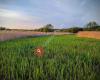 Combe Valley Countryside Park - Reedswood Road Access Point