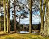 Cragside House & Gardens