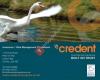 Credent Commercial Insurance Ltd