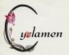 Cyclamen Beauty
