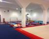 Darlington Gymnastics Club