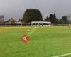 Desborough Town Football Club