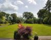 Ditton Lodge Bed and Breakfast