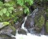 Dolgoch Falls