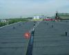 dutton flat roofing