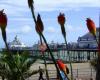 Eastbourne Pier