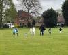 Elworth Cricket Club