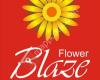 Flower Blaze