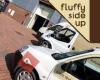 Fluffy Side Up Ltd