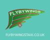 Flybywings Taxi