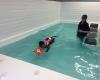 Genesis Canine Hydrotherapy Clinic