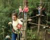 Go Ape Wyre Forest