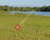 Godmanchester Wildlife Trust Nature Reserve