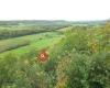 Gordano Valley National Nature Reserve