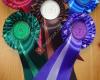 Guild Rosettes & Trophies