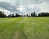 Halesowen Cricket Club