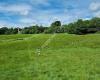 Hastings Battlefield