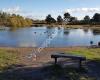 Havannah & Three Hills Nature Reserve - Three Hills Visitor Carpark