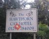 Hawthorn Cat Hotel